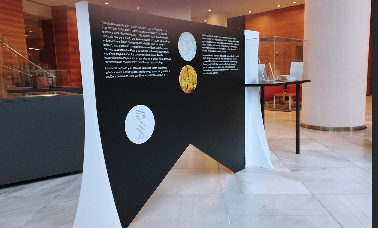 Proyecto museográfico | Estudi CMB interiorista