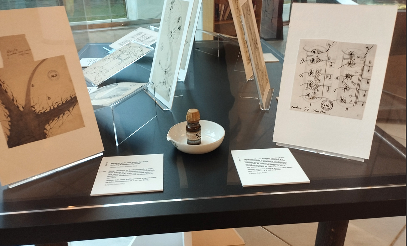 Proyecto museográfico | Estudi CMB interiorista
