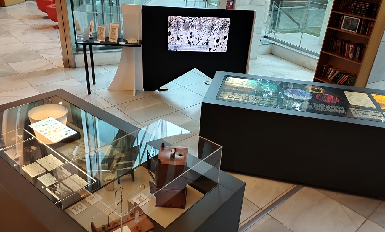 Proyecto museográfico | Estudi CMB interiorista