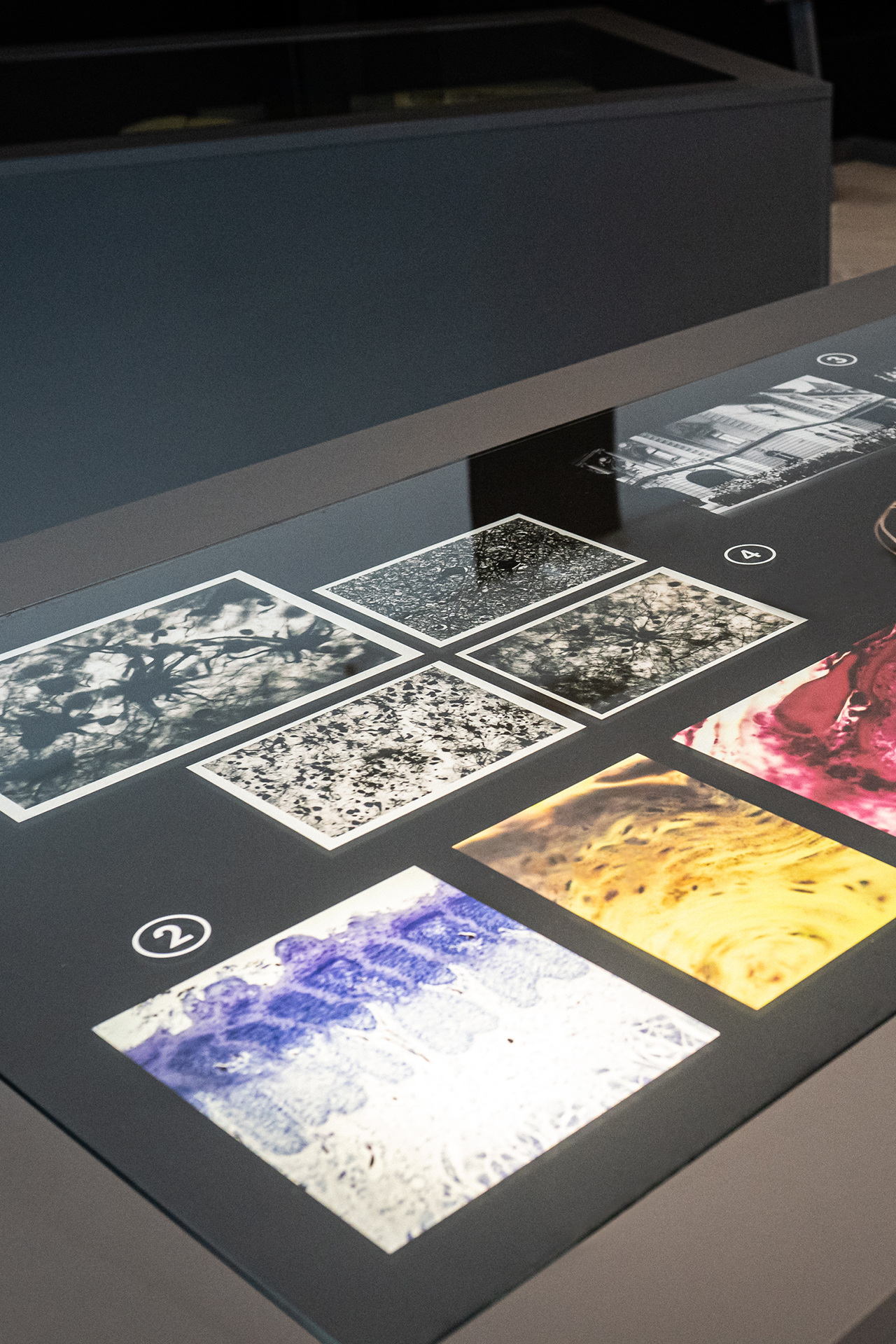 Vitrina de diseño retroiluminada | Estudi CMB interiorista