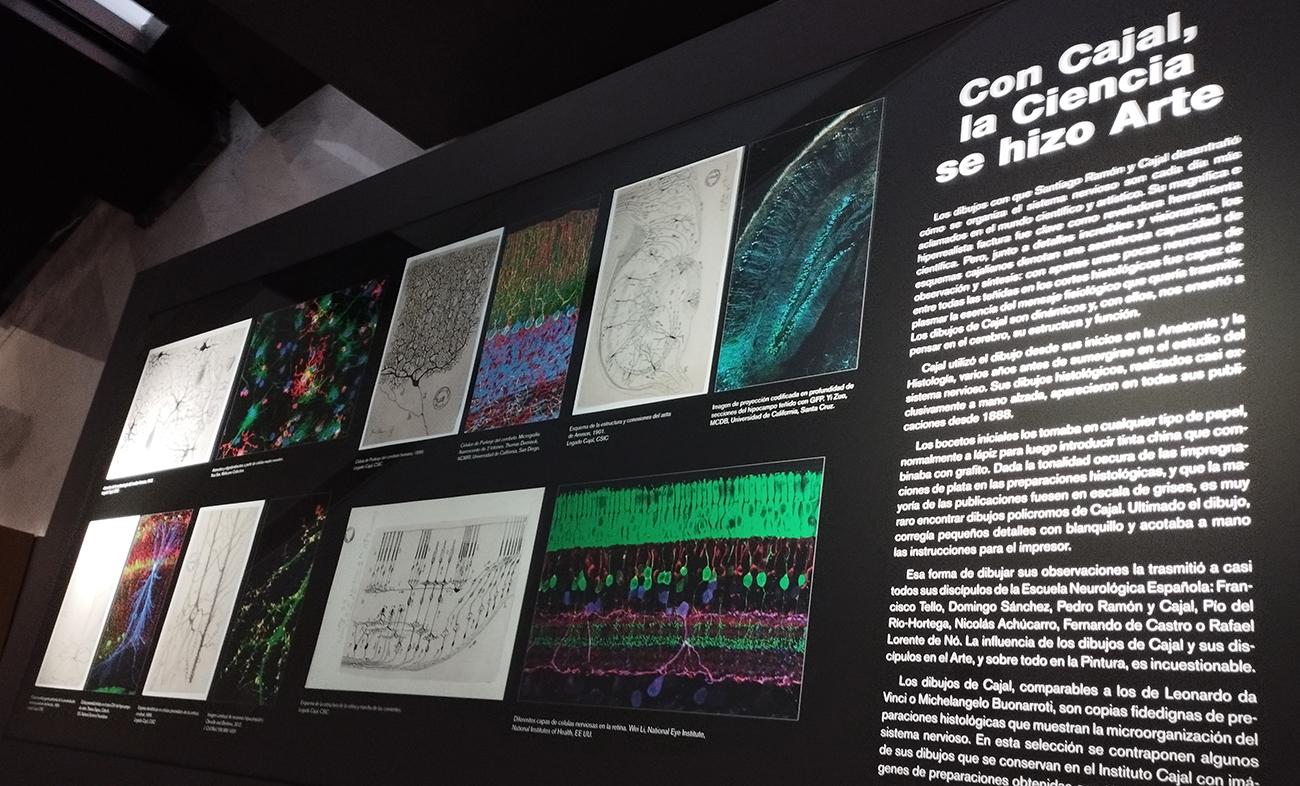 Vitrina de diseño retroiluminada | Estudi CMB interiorista